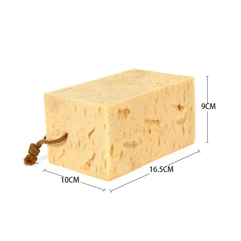 Car Washing Sponge