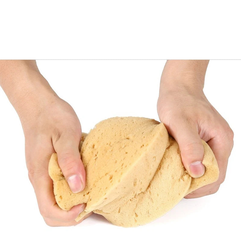 Car Washing Sponge